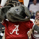 Photo Credit: Wade Payne/AP